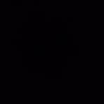 Load image into Gallery viewer, L/S V-Neck Hi-lo Top