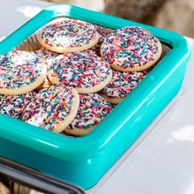 Load image into Gallery viewer, Fancy Panz Classic, Aqua