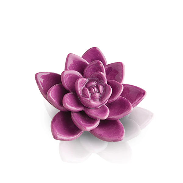 aesthetic purple succulents A243 Get Growing ( Purple Succulent) – Lydia Jaynes LLC