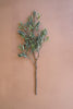 Faux Olive Branch