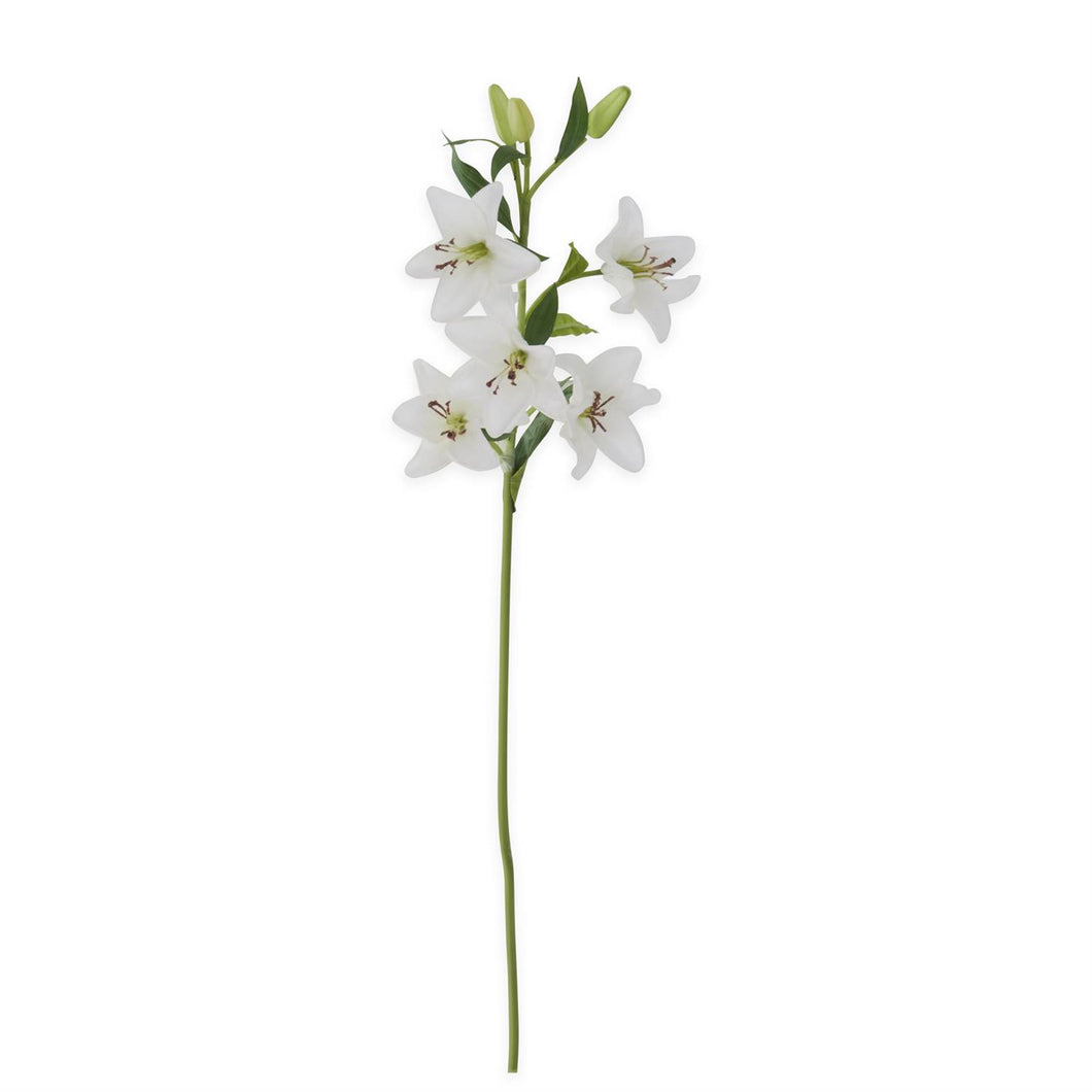 30 Inch White Real Touch Lily 5 Blooms & 3 Buds Stem
