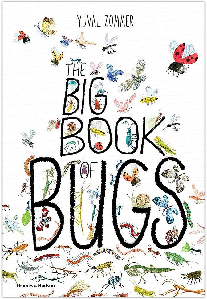 The Big Book of Bugs – Lydia Jaynes LLC
