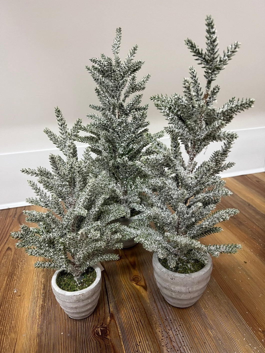 Set of 3 Snowy Pine Trees in Gray Cement Pots