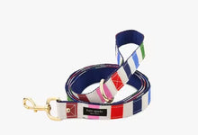 Load image into Gallery viewer, Large Dog Leash, Adventure Stripe
