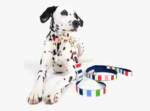 Load image into Gallery viewer, Large Dog Leash, Adventure Stripe
