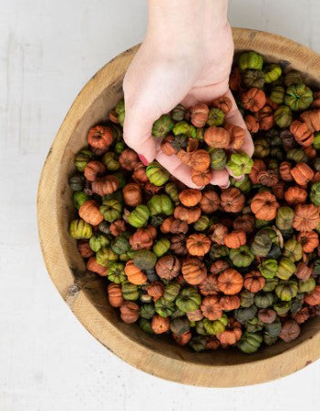 Bag of Putka Pods, Pumpkin