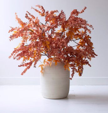 Fall foliage