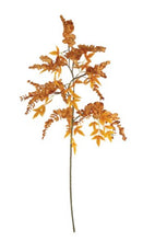 Load image into Gallery viewer, Fall foliage
