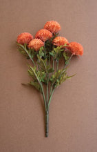 Load image into Gallery viewer, Bundle of Dahlias
