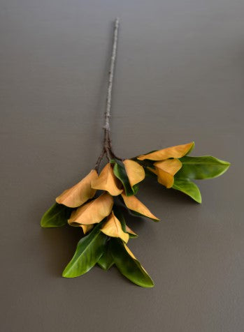 Magnolia Leaves Stem/Spray