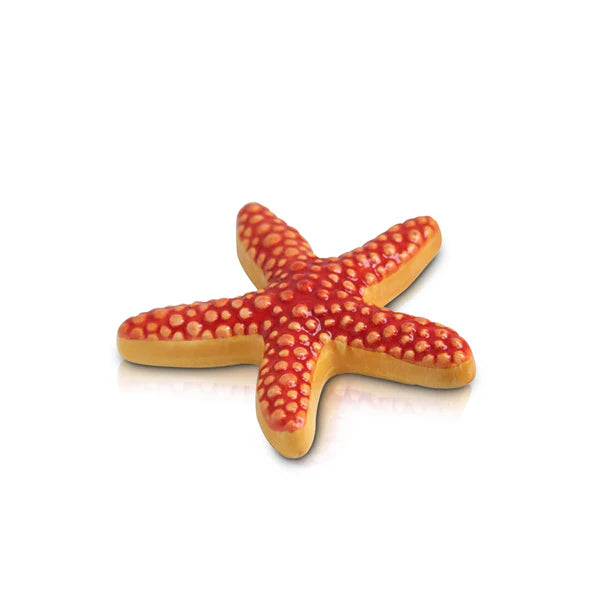 A66 sea star
