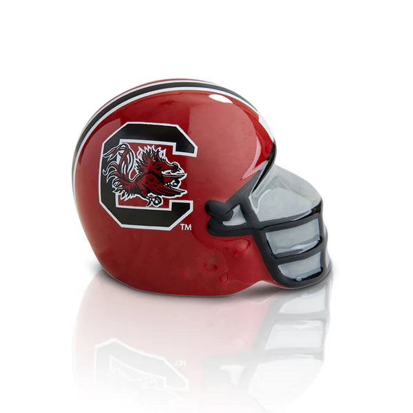 A319 South Carolina helmet