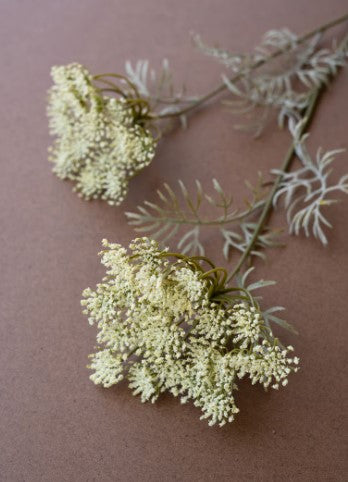 Lace Flower Spray
