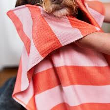 Dog & Bay, Canine Coral