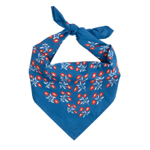 Load image into Gallery viewer, B075 Juliet Bandana
