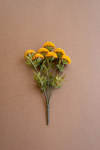 Load image into Gallery viewer, Bundle of Dahlias
