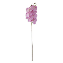 Load image into Gallery viewer, 34.5 Inch Orchid Stem
