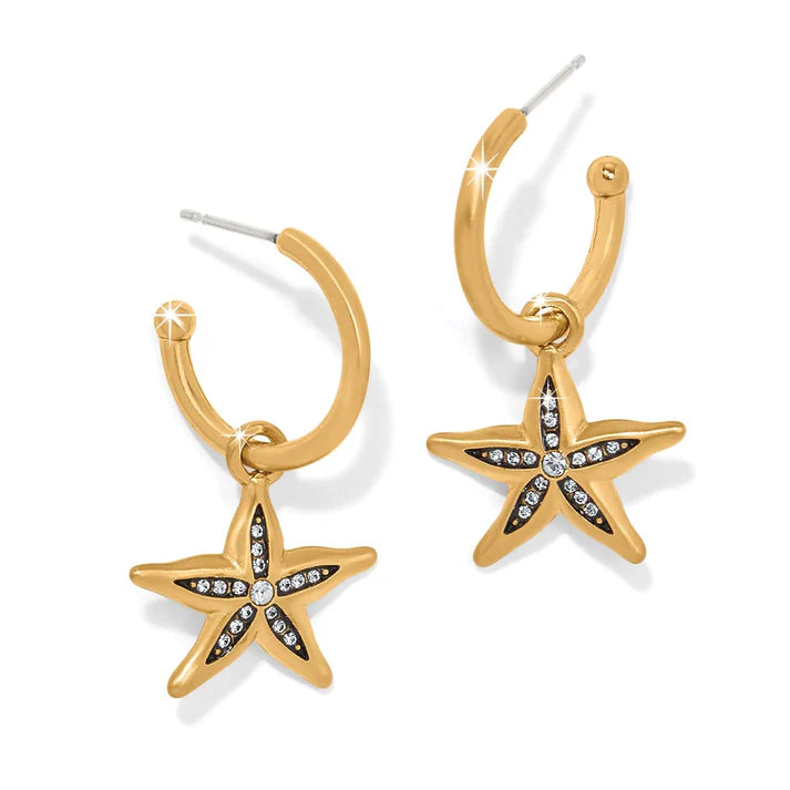 Twilight Water Earrings