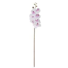 Load image into Gallery viewer, 34.5 Inch Orchid Stem
