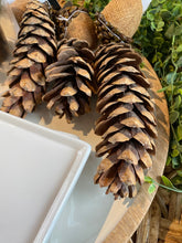Load image into Gallery viewer, Bag Of 6 Strobus Pinecones

