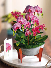 Load image into Gallery viewer, Freshcut Orchid Oasis
