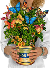 Load image into Gallery viewer, Freshcut Butterflies &amp; Buttercups
