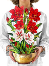 Load image into Gallery viewer, Freshcut Scarlet Amaryllis

