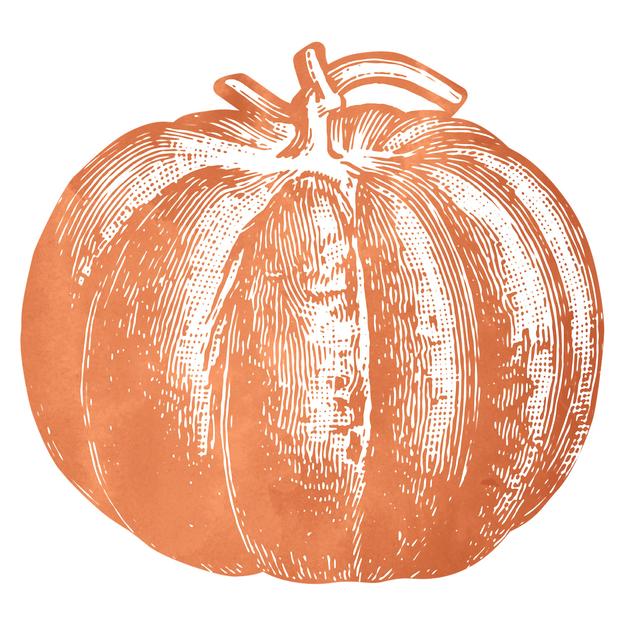 Pumpkin Placemats